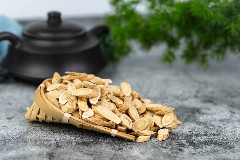 Astragalus Benefits, How To Use, Dosages & Side Effects
