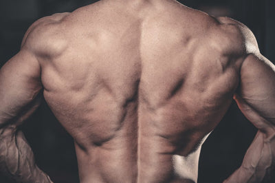 Extreme Back And Bicep Workout For Muscle Mass