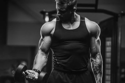Epicatechin Guide: Is It Effective For Bodybuilding?