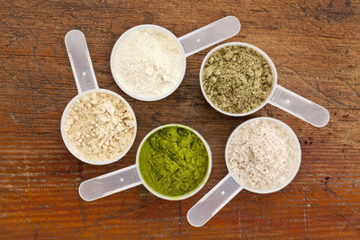 Whey Protein VS. Plant Protein: Which Is The Better Choice?