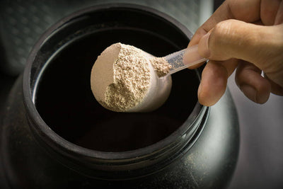 Top 7 Best Protein Powders For Muscle Gain Available In 2024