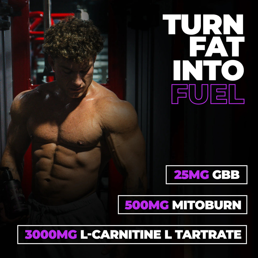 Liquid Carnitine 3000 Liquid Carnitine 3000