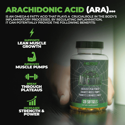 Arachidone | Arachidonic Acid Supplement