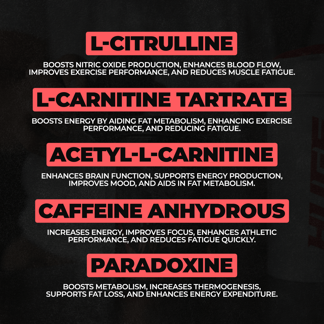 acetyl l carnitine nitric oxide Acetyl L-Carnitine 500mg Capsules - ALCAR main image 0