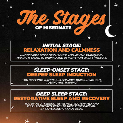 The Stages of Hibernate